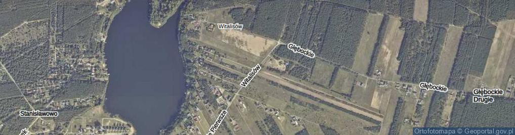 Zdjęcie satelitarne Witalisów ul.